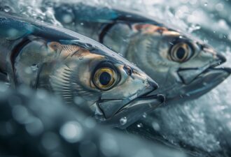 Дві рибини в воді, з фокусом на їхніх деталях та яскравих кольорах, оточені бульбашками та хвилями.
